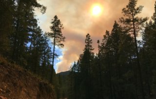 Johnson Fire