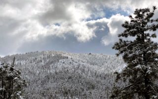 Christmas Snow In Walker