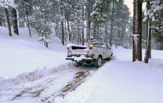 Walker Snow Day