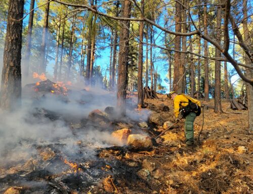 1 Acre Fire Near Walker